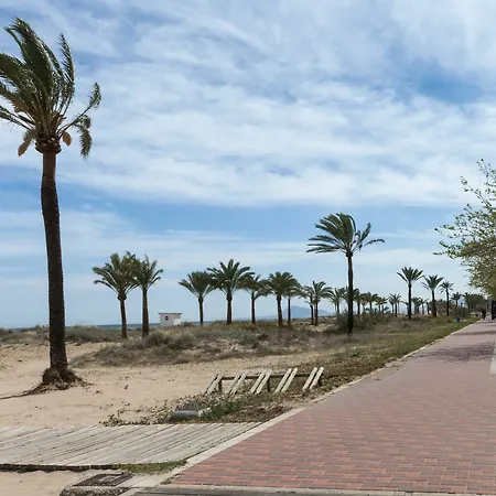 Ulises * Gandia